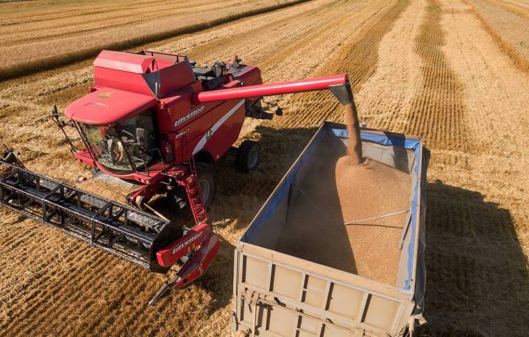 Кабмин РФ продлил действие нулевой экспортной пошлины на пшеницу